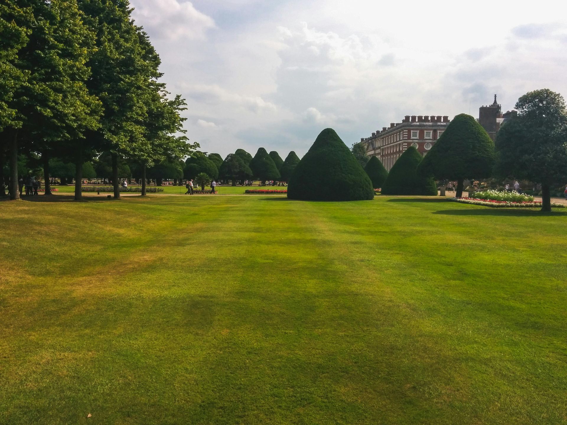 A lush green field with trees and a building in the background