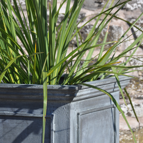 Belgian Square Planter with Planted Grasses