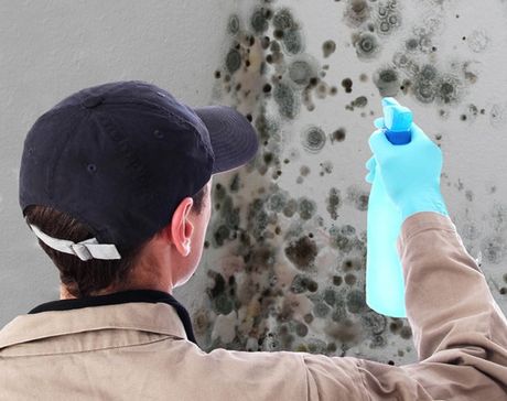 Mold Remediation — Hand With Glove Cleaning Mold From Wall in Cridersville, OH