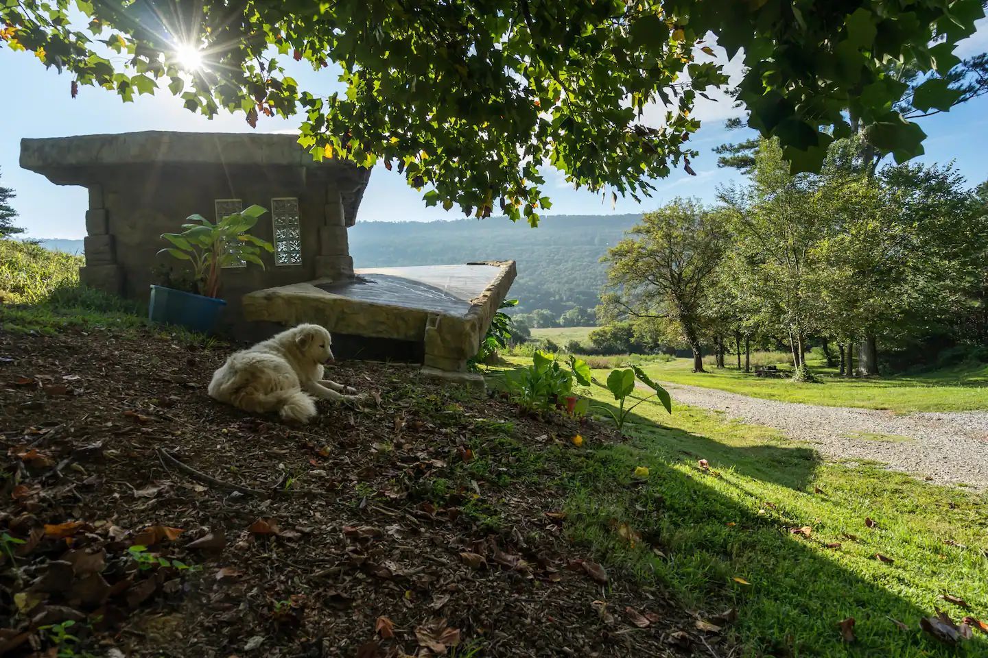 PetFriendly Rentals Hidden Falls Destination