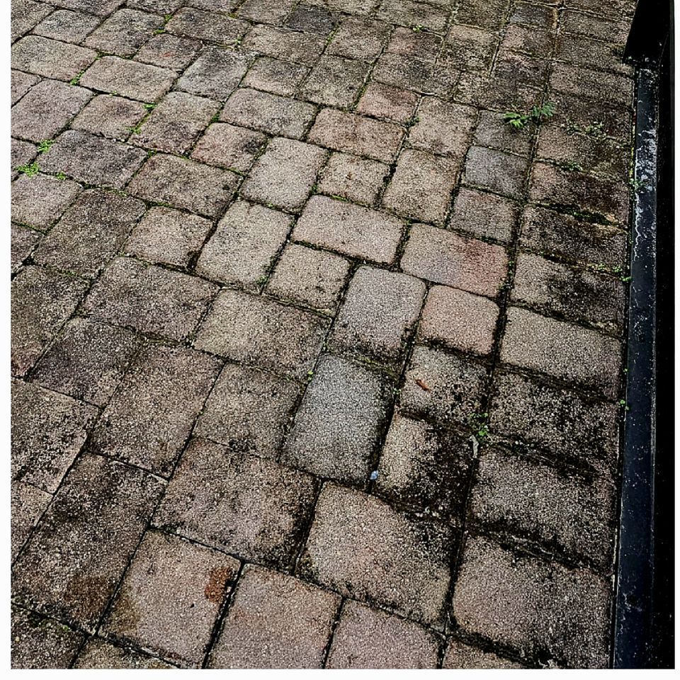 A close up of a brick walkway with moss growing on it.