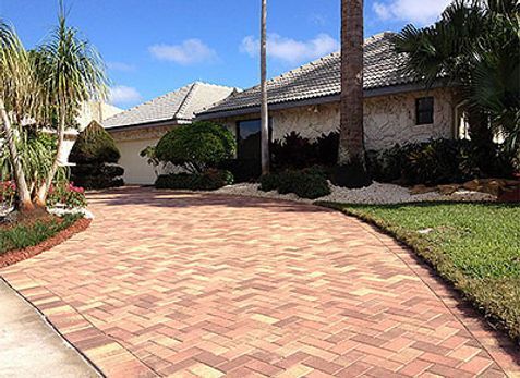 A brick driveway leading to a house with a palm tree in the background.