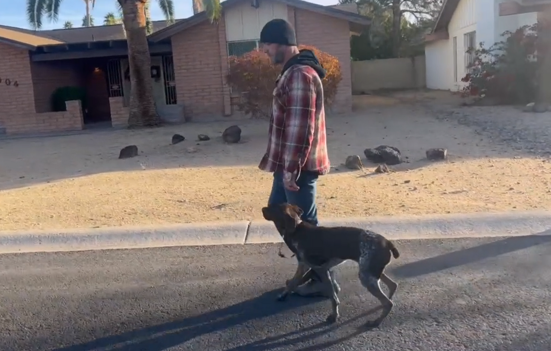 Chris Farr walking a dog on a leash in front of a house.