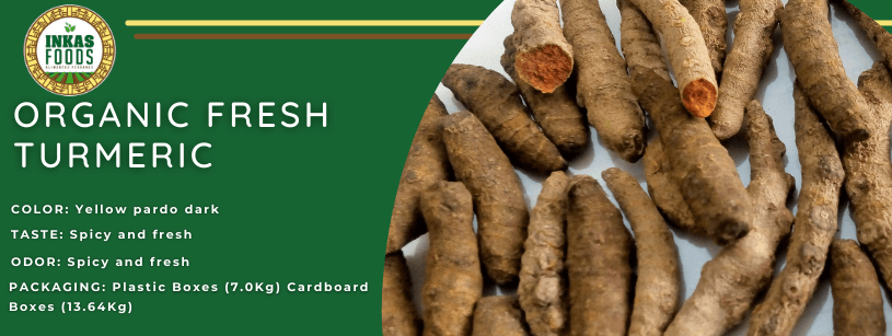 Cúrcuma fresca orgánica etiquetada “Inka Foods” con un fondo verde y raíces de cúrcuma.