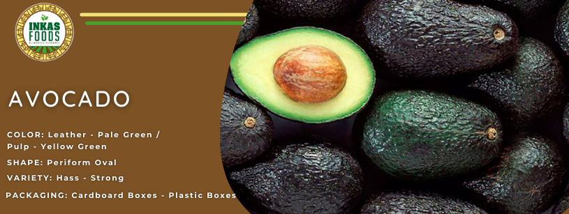 Exhibición de aguacate con un corte abierto para mostrar el interior y texto que describe el color, la pulpa y las variedades.