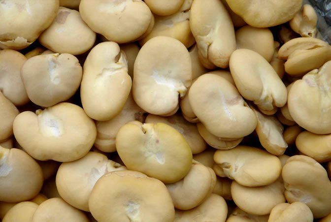 Montón de habas de color beige, de forma ovalada, algunas con pequeñas hendiduras más oscuras.