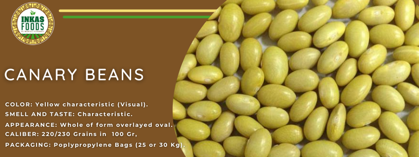 Frijoles canarios apilados. Son amarillos y ovalados.