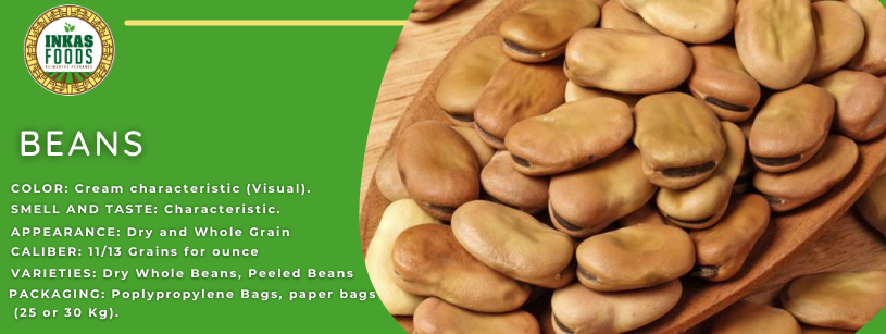 Bandera verde con el texto 