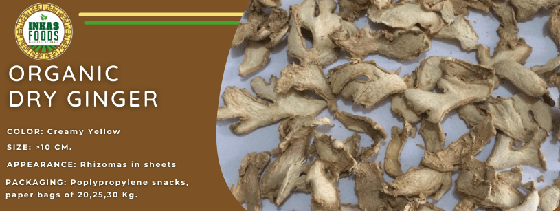 Jengibre seco orgánico con logo “Inkas Foods”; color amarillo cremoso, apariencia es de hojuelas en láminas.