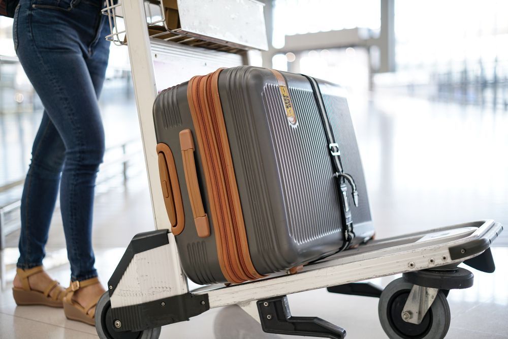 Bagagens, mochilas e bichos de pelúcia empilhados em um terminal de aeroporto.