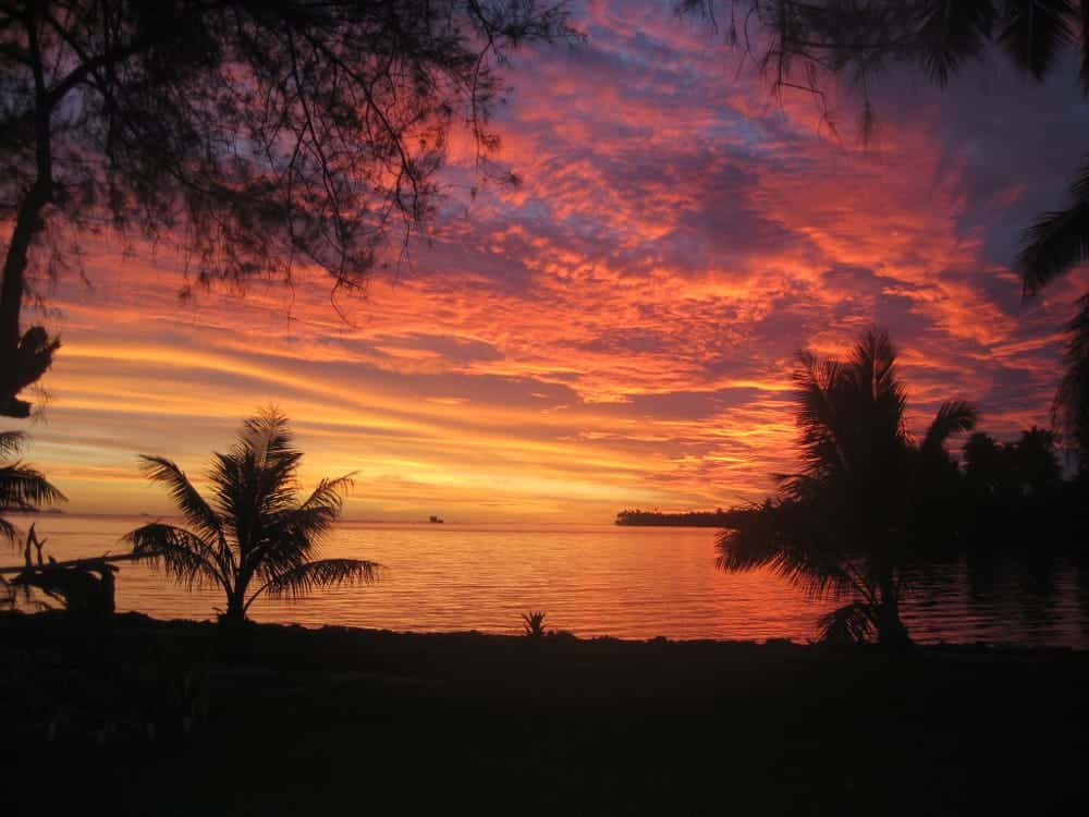 A sunset over a body of water with palm trees in the foreground