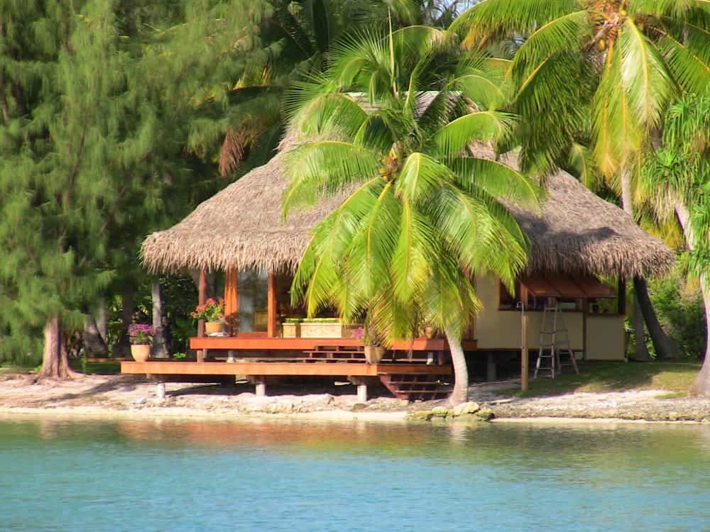 A small hut with a thatched roof sits on the shore of a body of water surrounded by palm trees.