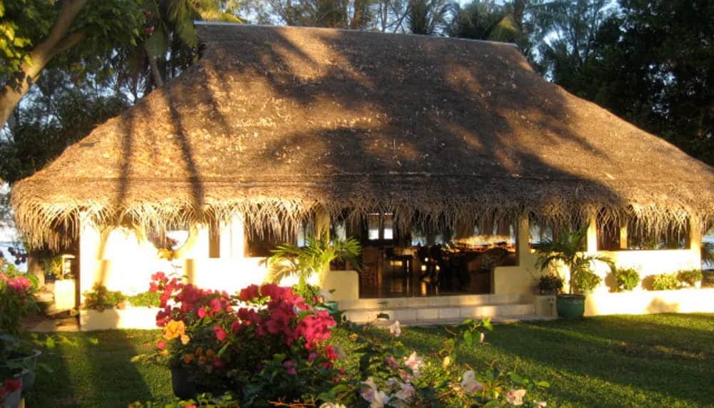 A house with a thatched roof and flowers in front of it