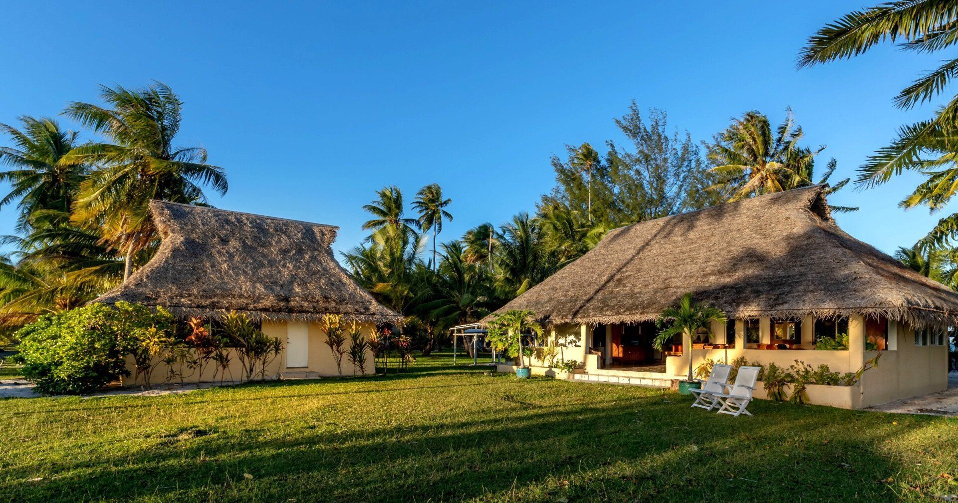 There are two thatched houses in the middle of a lush green field.