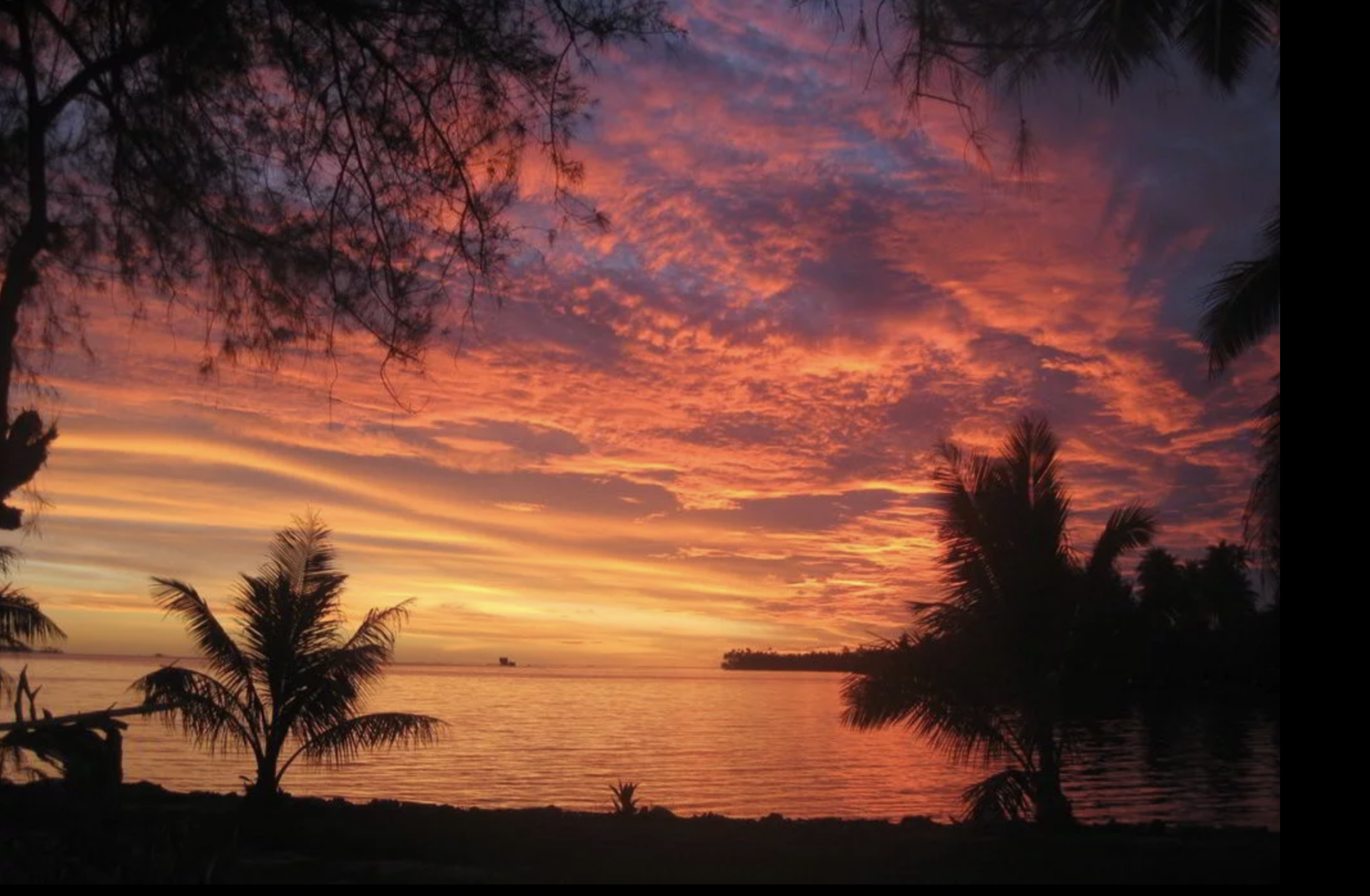 A sunset over a body of water with palm trees in the foreground
