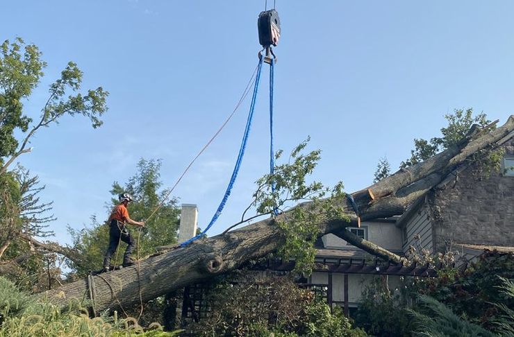 A man is standing on top of a large tree that has fallen on a house.