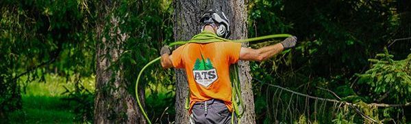 A man is cutting a tree branch with a chainsaw.