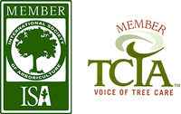 A member of the international society of arboriculture and a member of the tcia voice of tree care