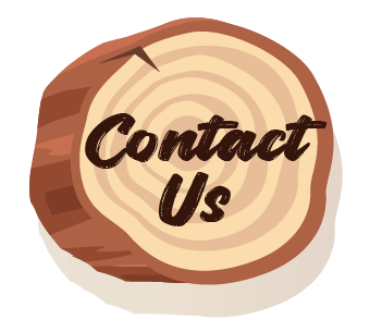 cactus car wash logo contact us menu button