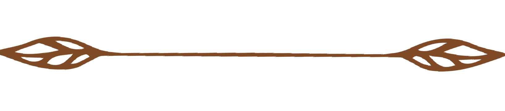 Brown ornamental horizontal divider with leaf-like ends on a white background
