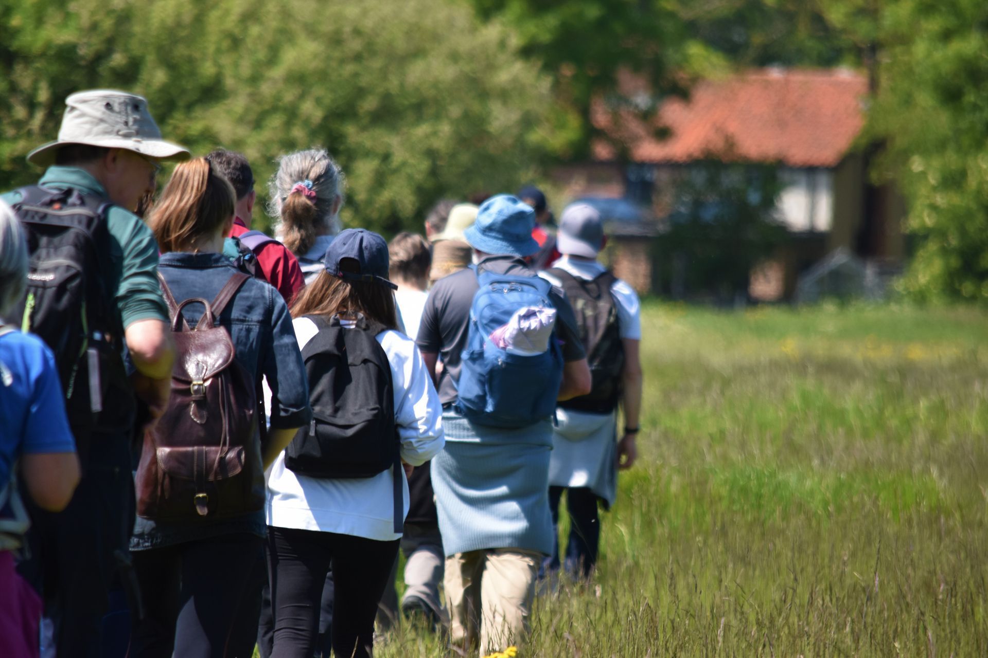 A group of pilgrims walking and talking in the sunshine