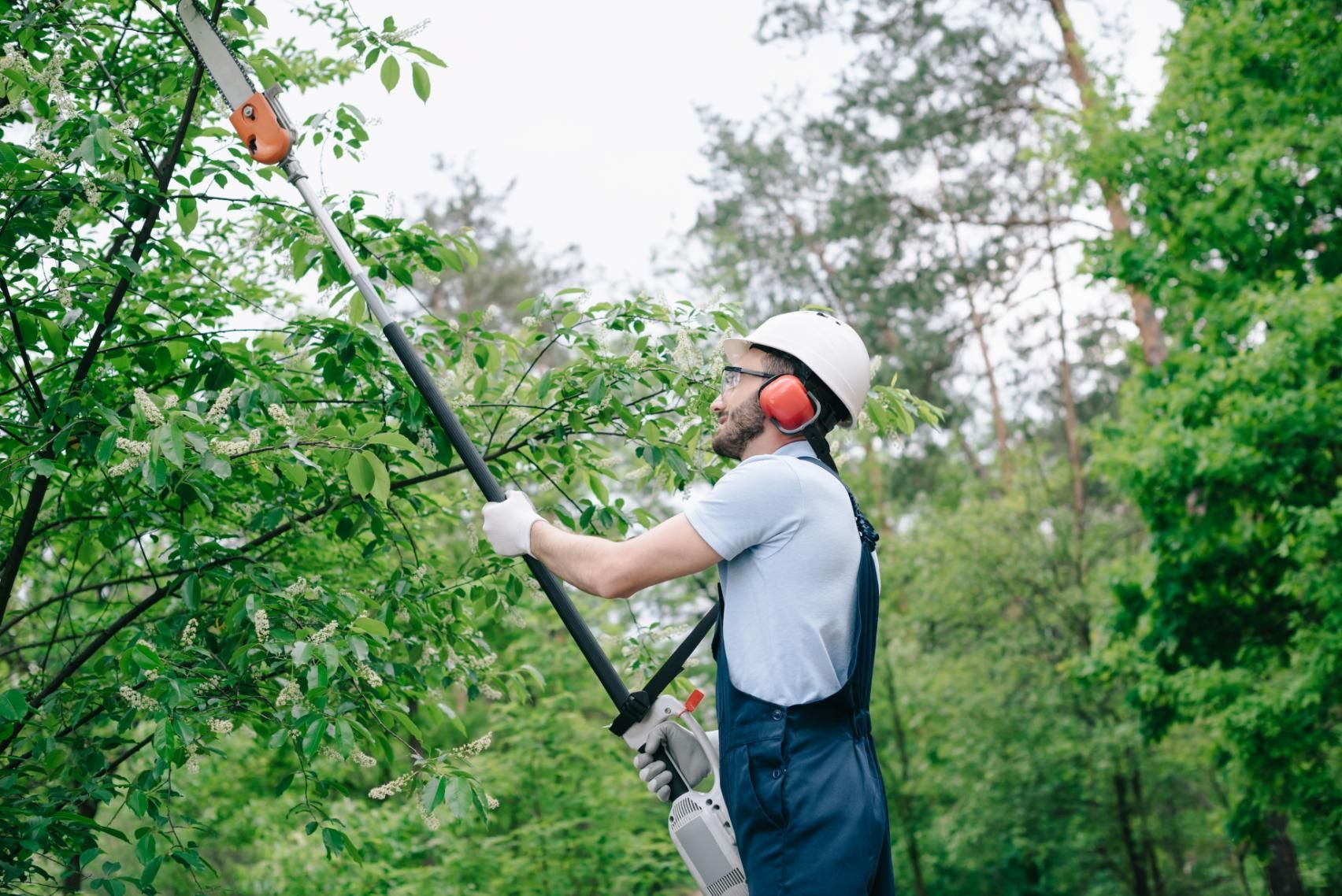 A worker in a white hard hat and ear protection uses a long-reach pole saw.