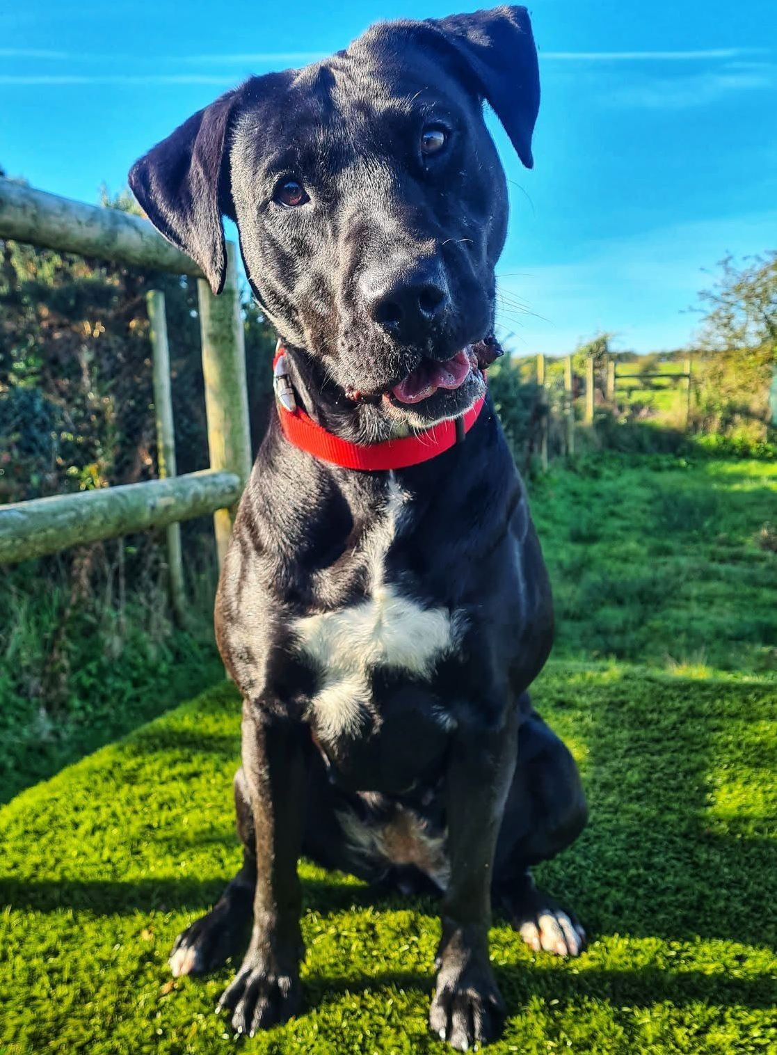 Meet Aria