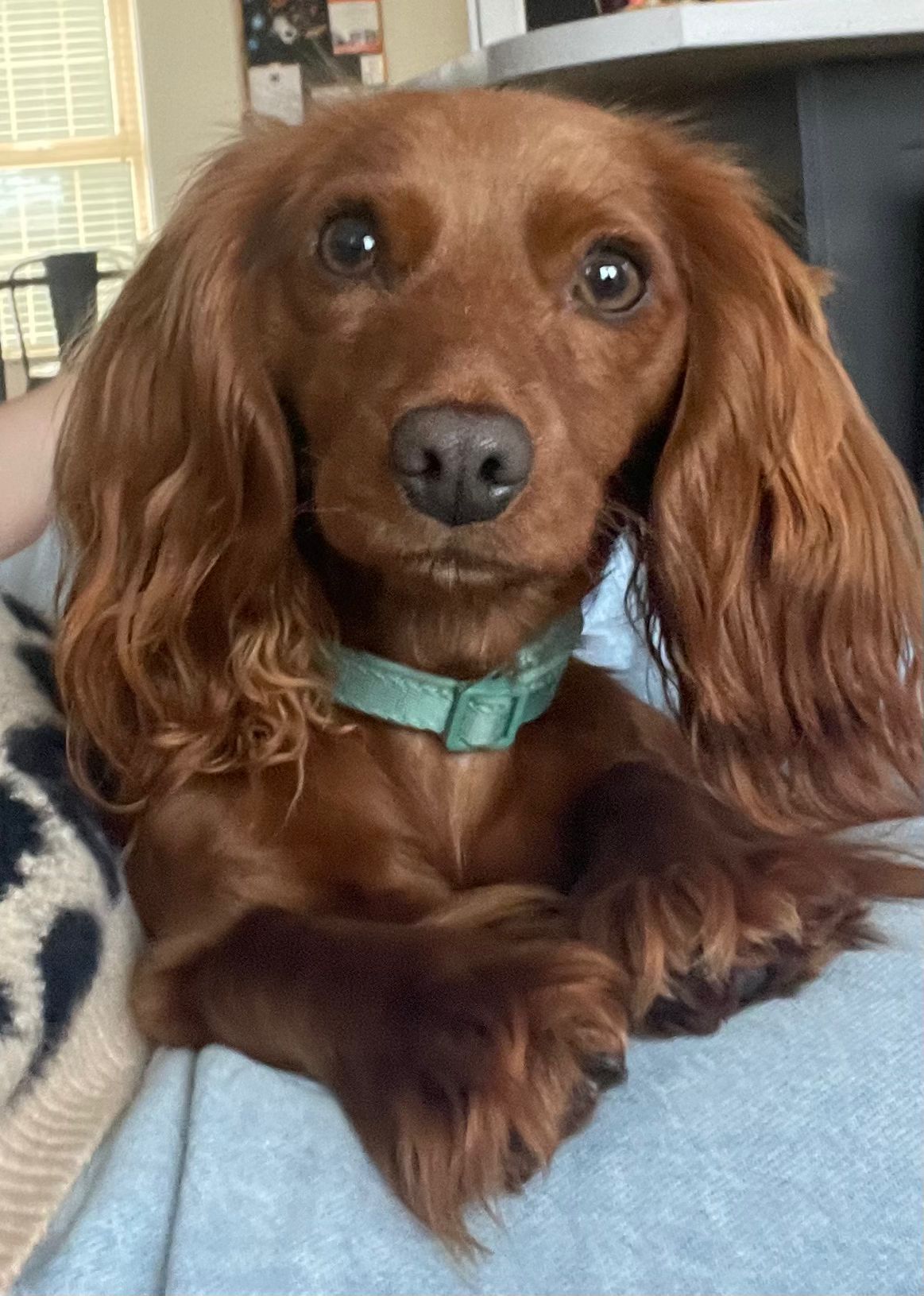 Meet Bonny