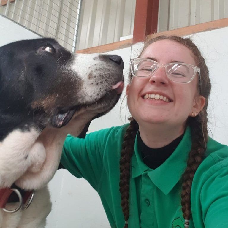 A woman in a green shirt is petting a black and white dog