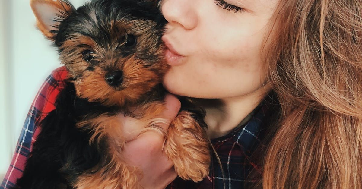 A woman is kissing a small dog on the cheek.