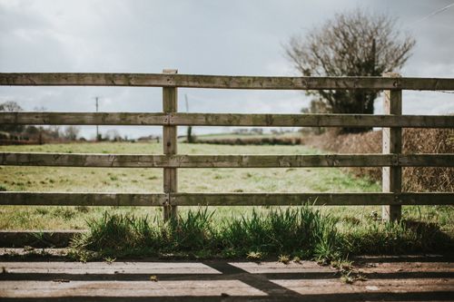 A wooden fence surrounds a grassy field with trees in the background.