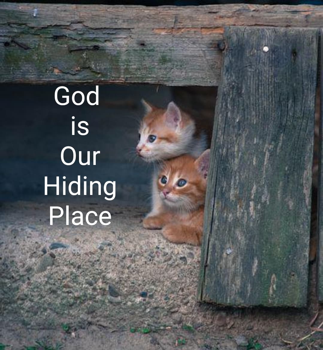 What Does It Mean God Is My Hiding Place