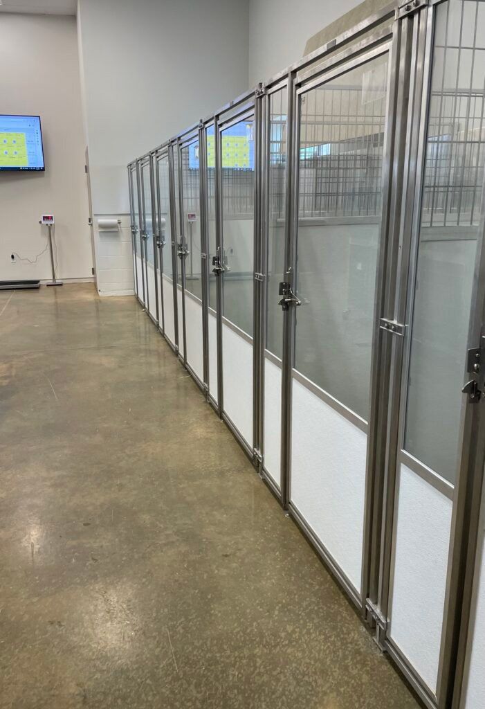 Indoor And Outdoor Kennels — Athens, TX — Veterinary Medical Center of Athens