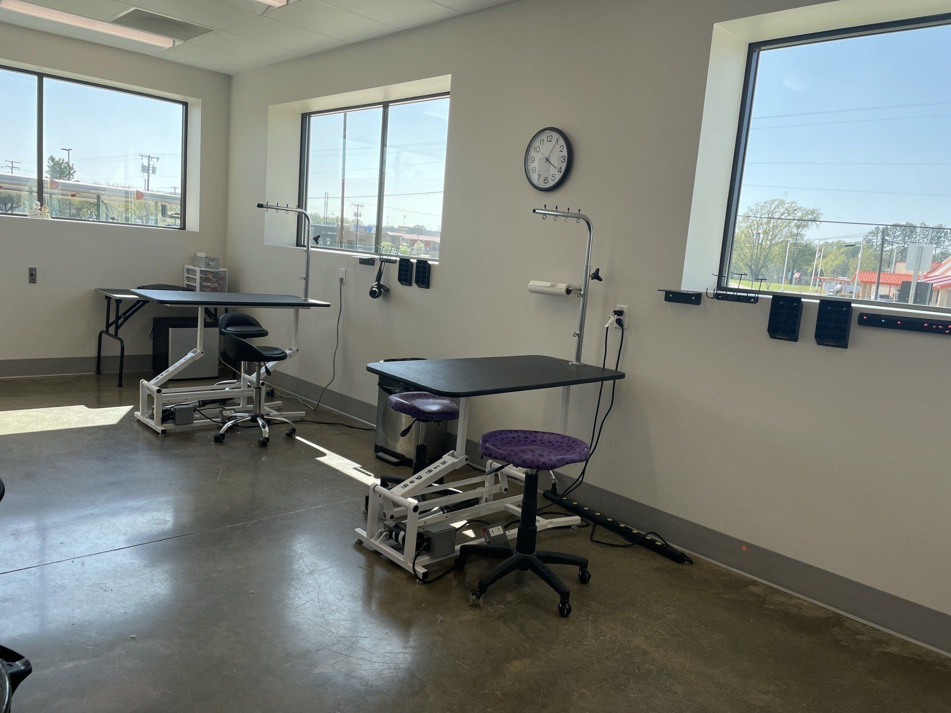 Two Professional Groomer And Cute Dog — Athens, TX — Veterinary Medical Center of Athens