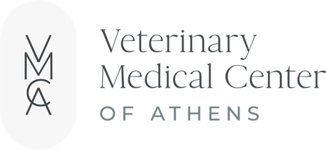 Veterinary Medical Center of Athens