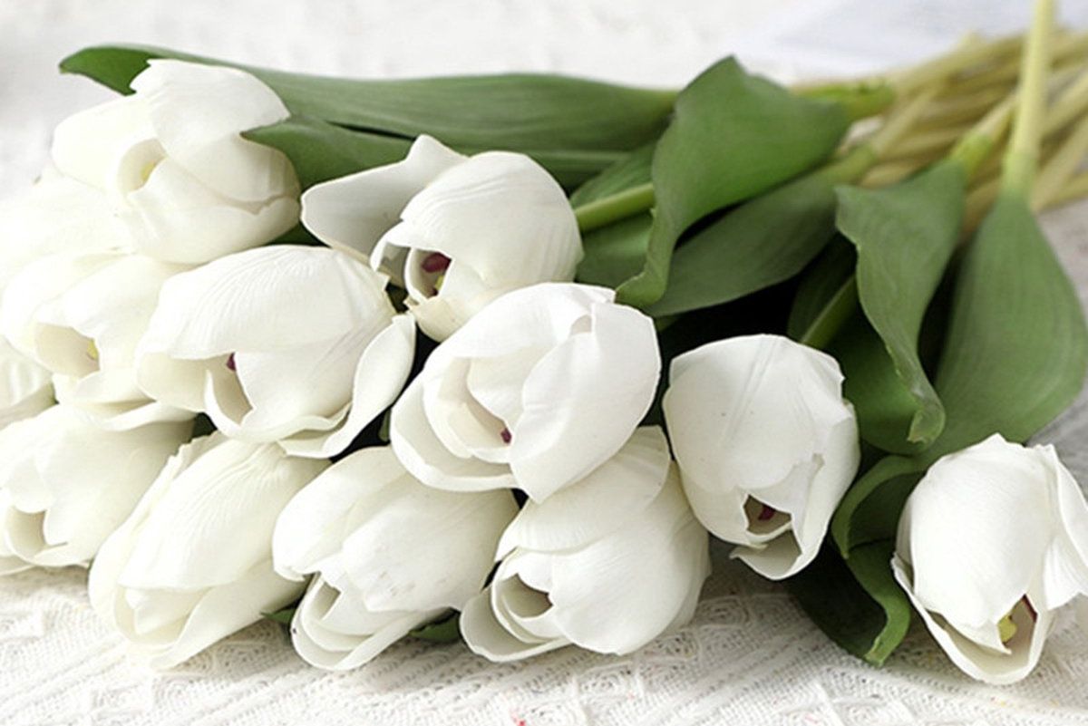 TULPJES - REAL TOUCH  WIT