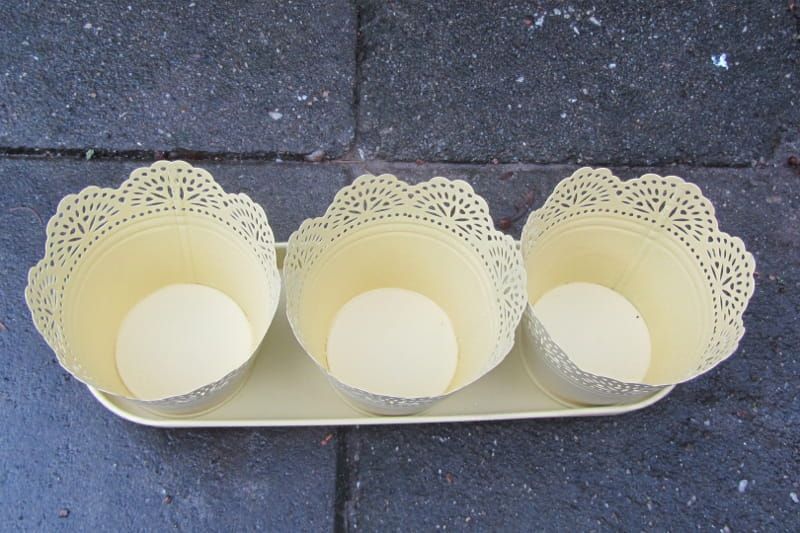 SUPER OPRUIMING - SET BLAD EN 3 BLOEMPOTJES NU SET 1,50