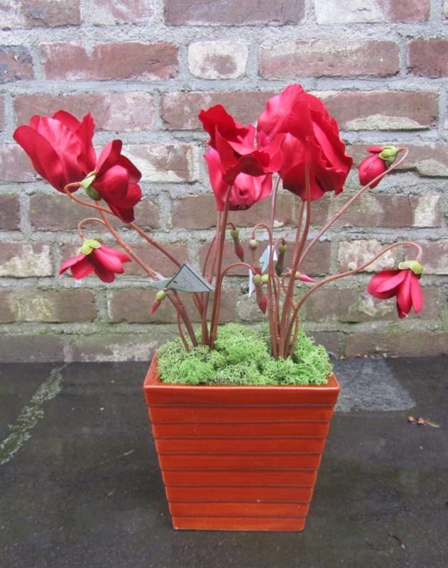 CYCLAAM  KUNST TOPART