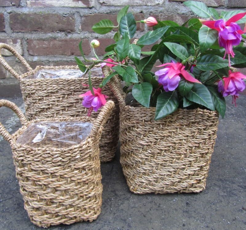 CUSCO - MOOIE RIETEN BLOEMPOT  MANDJES - (L)