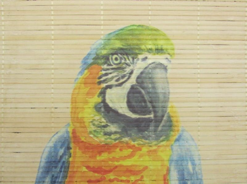 PAPEGAAI OP RIET - GIFTS AMSTERDAM