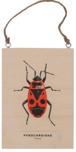 INSECTEN - WANDDECORATIE - SET 3 STUKS 6 EURO