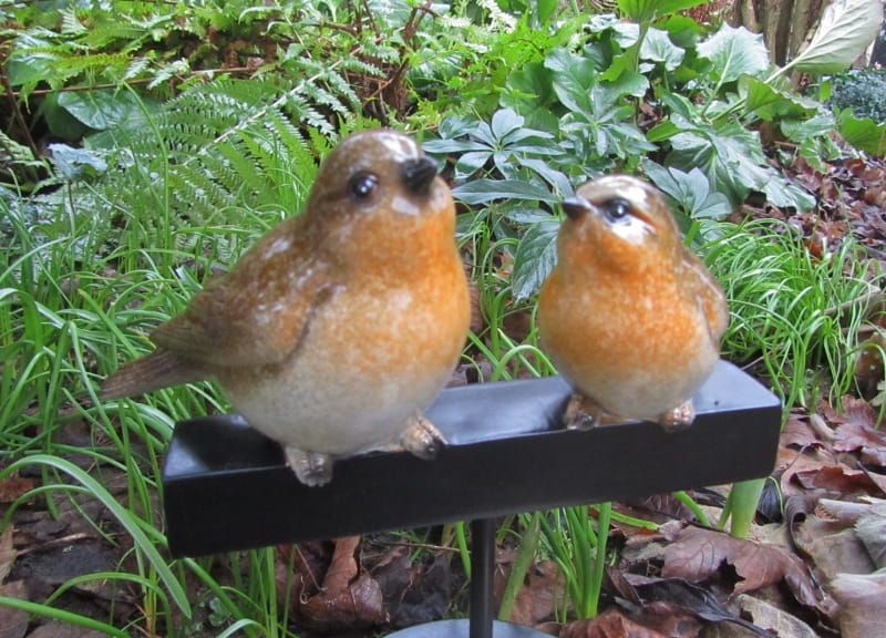 OPRUIMING ROODBORSTJES - GIFTS  AMSTERDAM VAN 24,50 NU 14,50