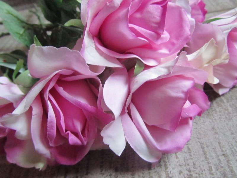 OPRUIMING - TOP ART - PRACHTIGE ROOS VAN 2,95 NU 1,50