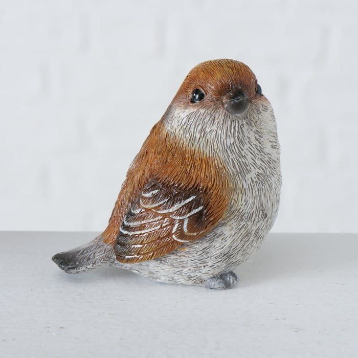 VOGELTJES - COBIE - BOLTZE