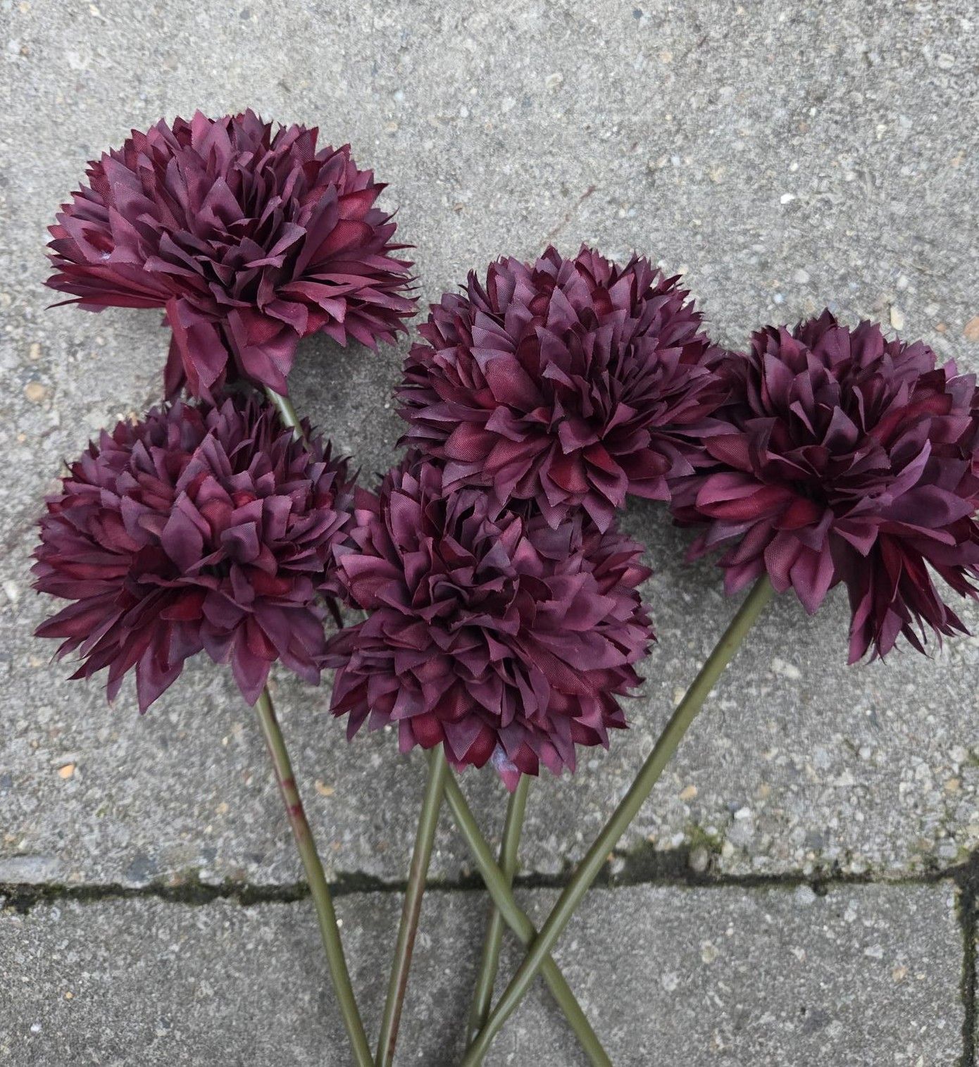 CLAYRE & EEF - BOL CHRYSANT