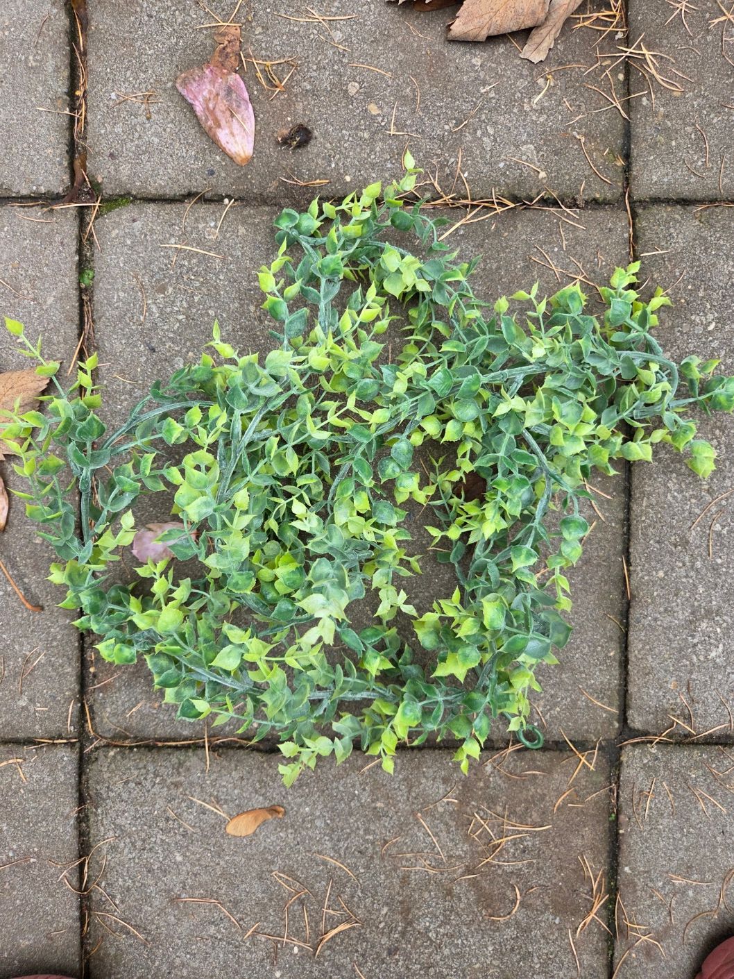 EUCALYPTHUS - KUNST - GUIRLANDE - HANGING GARDEN