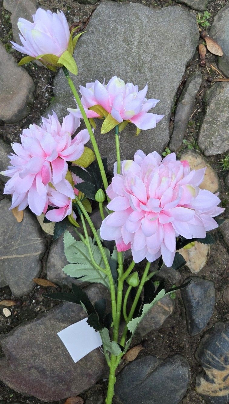 DAHLIA - KUNST - 6 BLOEMEN - ZACHT ROZE