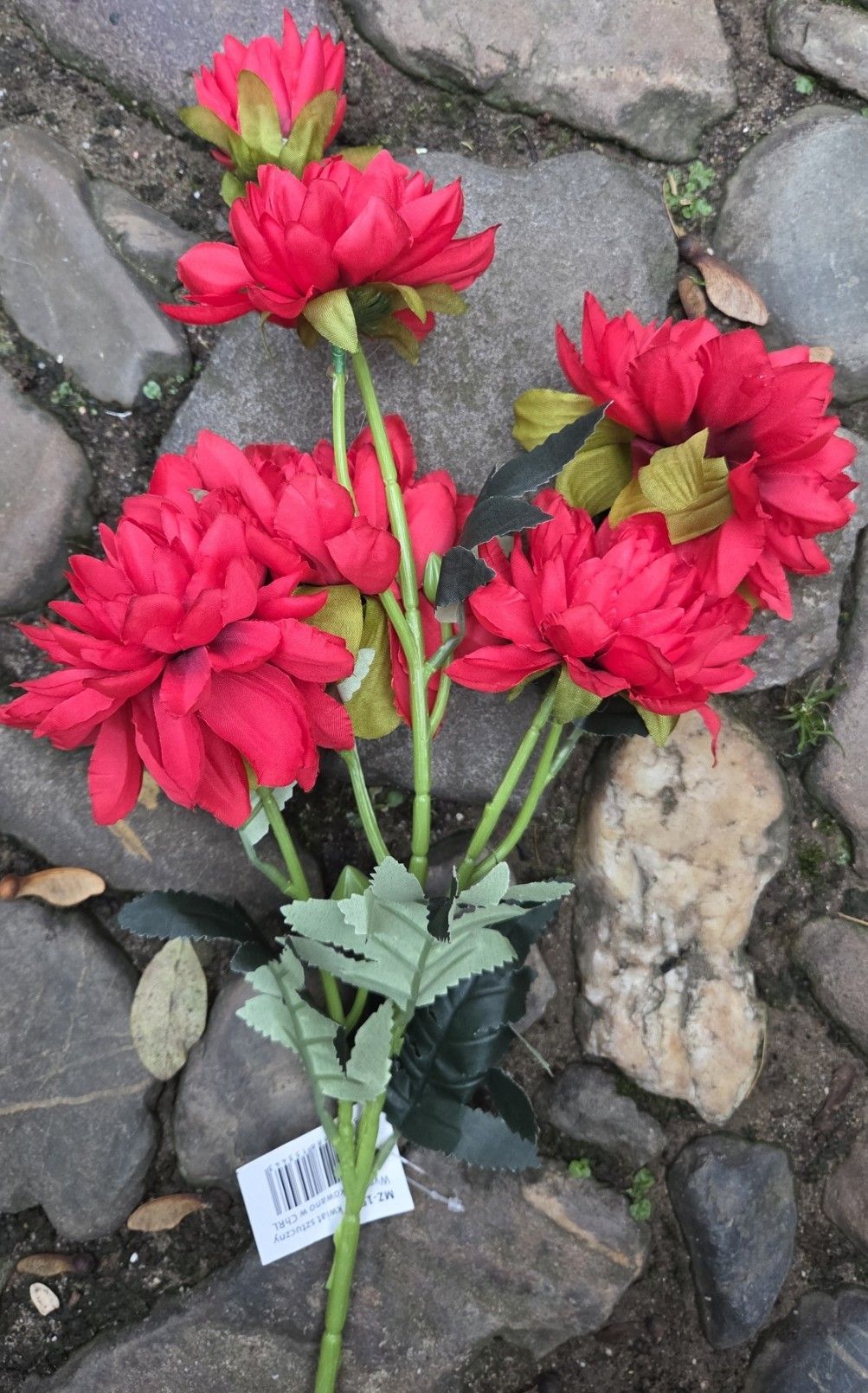 DAHLIA - KUNST - 6 BLOEMEN - ROOD
