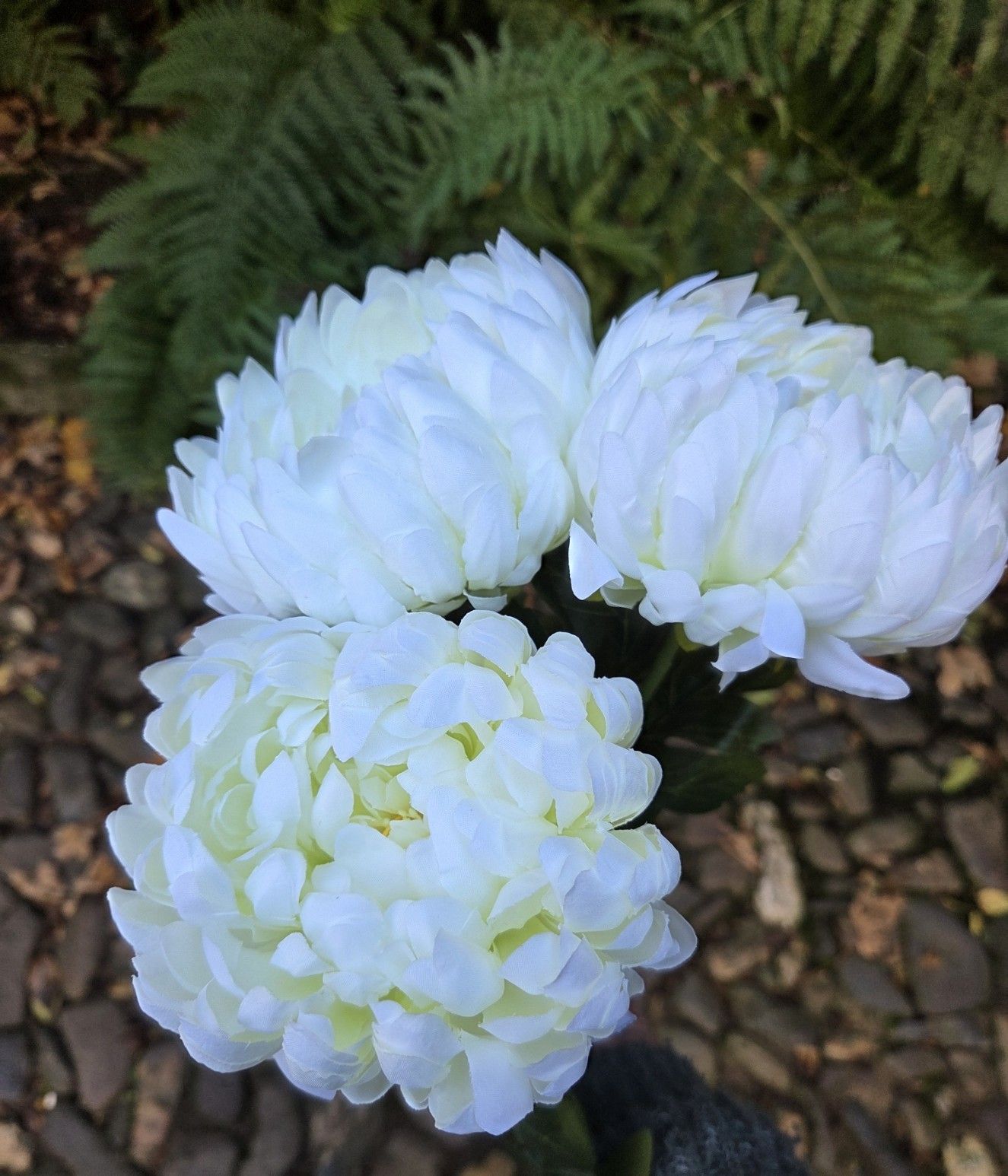 CHRYSANT - KUNST - WIT