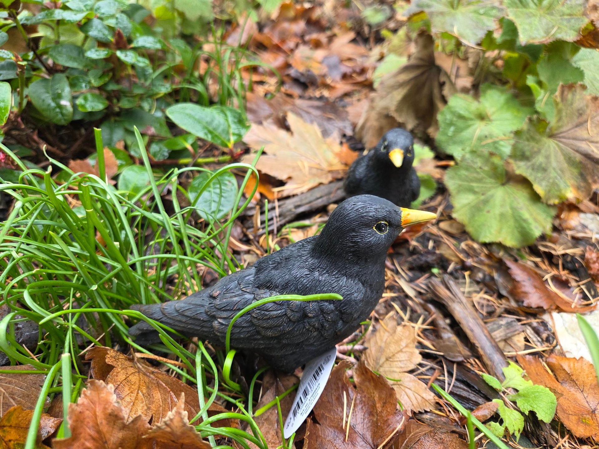 MERELS - TUINVRIENDJES - ESSCHERT DESIGN